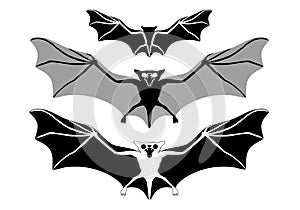 Halloween bats, vector