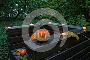 Halloween photo