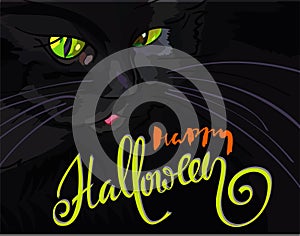 Halloween black cat with green eyes. Halloween handwritten lettering. Vector illustration. EPS10