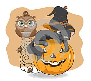 Halloween black cat on pumpkin in hat and owl