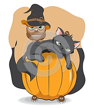 Halloween black cat on pumpkin and owl in hat