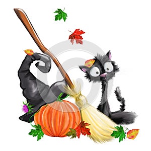 Halloween black cat, pumpkin, whist, witch hat, autumn leaves