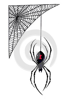 Halloween Black Widow Spider Hangs from its Web