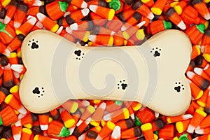 Halloween candy corn background with wood dog bone for your pet