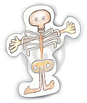 Halloween cartoon Skeleton character