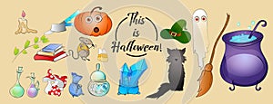 Halloween cartoon vector icons. Pumpkin, black cat, mouse, cauldron, brew ingredients, ghost, witch stuffs and goods