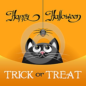 Halloween cat poster
