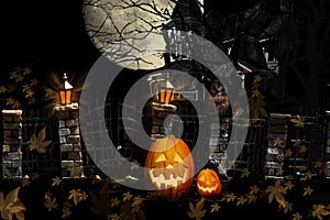 Halloween Cat Pumpkins Haunted House photo