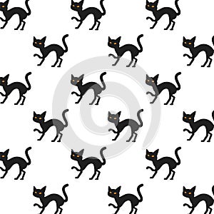 Halloween cats black pattern background