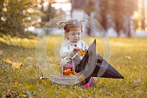 halloween celebration concept. cute little girl lays autumn leaves in witch hat in autumn park