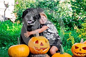 Halloween. Child dressed in black near labrador between jack-o-lantern decoration, trick or treat. Little girl with dog pumpkin i