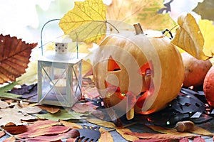 Halloween composition of jack-o-lantern, pumpkins, lamps, illuminations, mystical decor