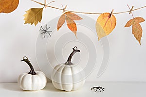 Halloween composition with pumpkins, spiders and floral garland on table wall background. Home decoration