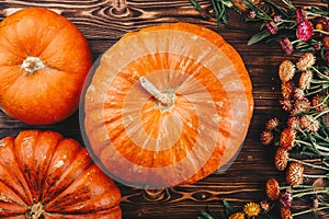 Halloween concept with fresh pumpkins and flowers on the wooden table. Trick or Treat view from above