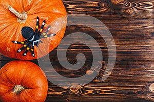 Halloween concept with fresh pumpkins and a spider on it on the wooden table. Trick or Treat view from above