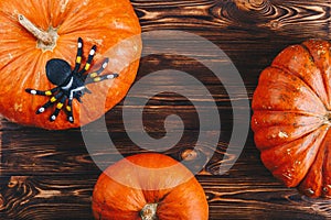 Halloween concept with fresh pumpkins and a spider on it on the wooden table. Trick or Treat view from above