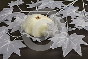 Halloween concept. Ghostly white maple leaves on a branch, pumpkins