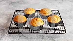 Halloween cooking recipes. Halloween pumpkin muffins in black capsules decorated with cardboard bats. Festive Halloween cupcakes.