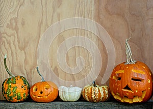 Halloween copy space with pumpkins and gourds