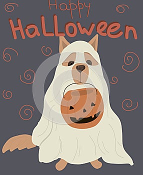 Halloween costumed dog holds pumpkin