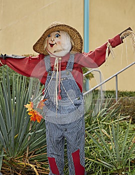 Halloween costumed scarecrows