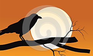 Halloween crow silhouette and moon backgrounds