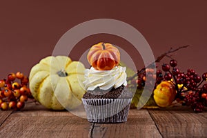 Halloween cupcake with pumpkin on a wooden background stock images