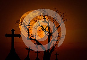 Halloween dark grunge grain concept background with scary dead tree and spooky silhouette crosses and full mo
