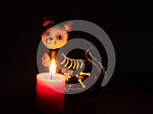 Halloween dead cat katrina pan muerto candles velas white red darkness photo