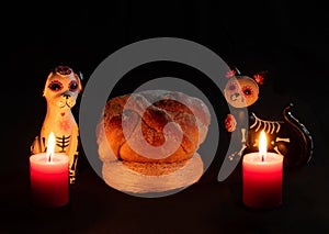 Halloween dead dog cat katrina pan muerto candles velas white red darkness