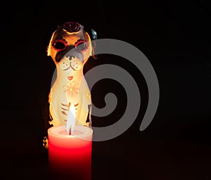 Halloween dead dog katrina pan muerto candles velas white red darkness photo