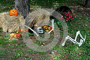 Halloween decoration