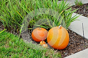 Halloween decoration in a home