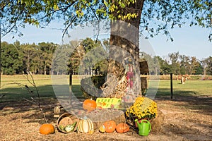 Halloween decoration at rural Arkansas, USA
