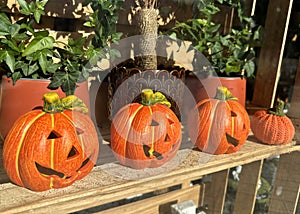 Halloween decoration in the window of a shop