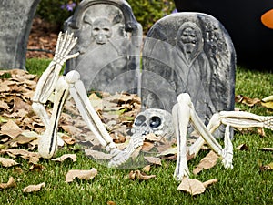 Halloween decorations