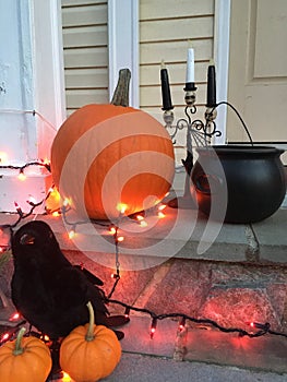 Halloween Decorations