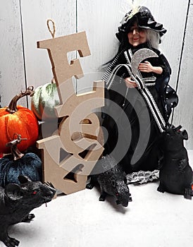 Halloween decorations: witch, black mice, pumpkins and sign EEK photo