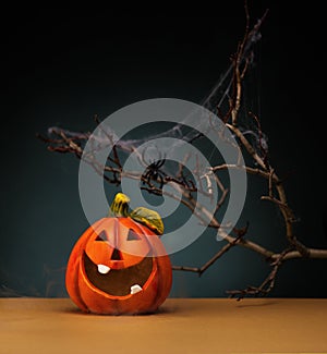 Halloween decorations with Funny Pumpkin, spider and spider web, on a dark background.