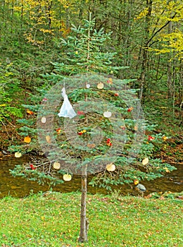 Halloween decorations of ghosts and pumpkins hanging on evergreen tree in Fall