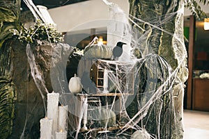 Halloween decorations indoors. Pumpkins, cobwebs and crows with candles, photo area. Halloween. concept. Background