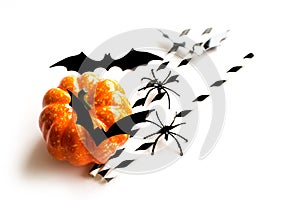 Halloween. Decorative elements for the celebration of halloween. Pumpkin, bats and spiders decor on a white background. Copy space