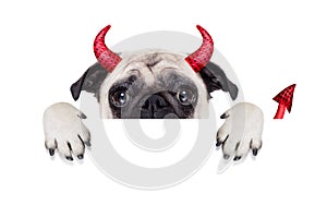 Halloween devil dog