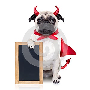 Halloween devil dog