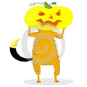 Halloween dog character with a pumpkin head. Cartoon vector illustration