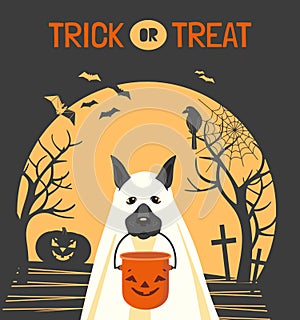 Halloween dog cute trick or treat vector banner