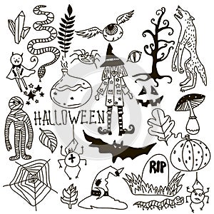 Halloween Doodle Set. Holiday Hand Drawn Vector Illustration with Pumpkins, Jack o Lantern, Skulls, Witch, Ghost, Bat, Candies,