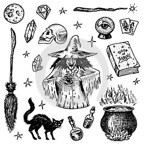 Halloween elements. Magic ball, witch with book of spells, cursed black cat, beldam and sorcery, hag or hex, potion and photo