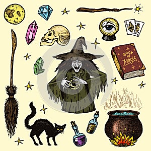 Halloween elements. Magic ball, witch with book of spells, cursed black cat, beldam and sorcery, hag or hex, potion and photo