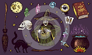Halloween elements. Magic ball, witch with book of spells, cursed black cat, beldam and sorcery, hag or hex, potion and photo